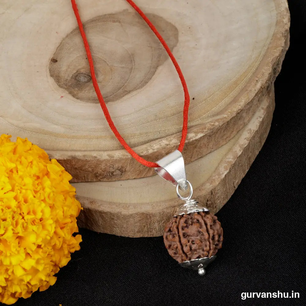 6 mukhi Rudraksha Pendant with thread(14-20 mm shape and size may vary certified)