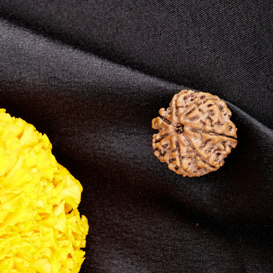 7mukhi