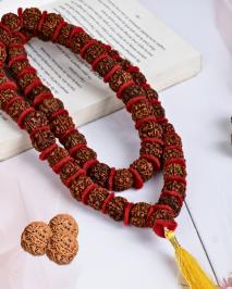 Rudraksha Malas