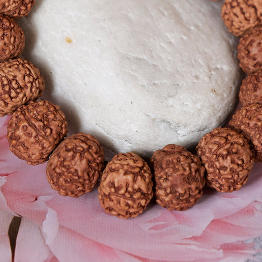 7 mukhi rudraksha bracelet(12-14mm)