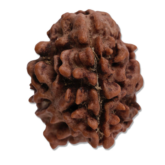 Test-product