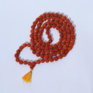 Rudraksha